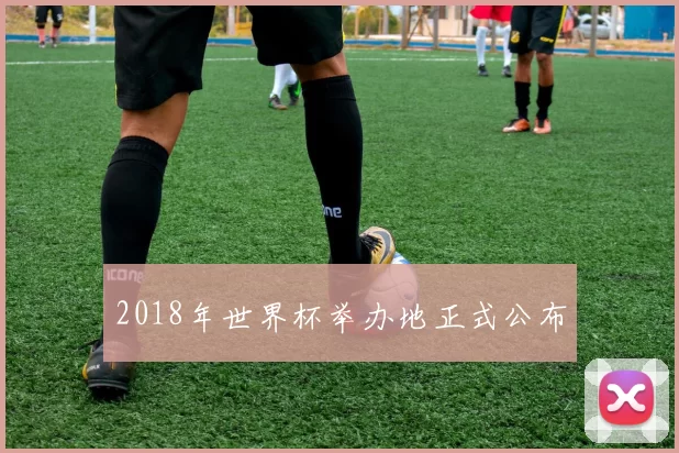 2018年世界杯举办地正式公布