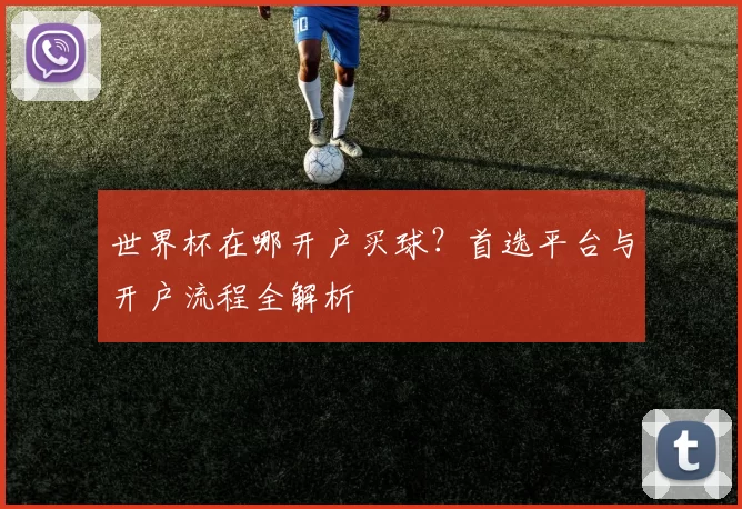 世界杯在哪开户买球？首选平台与开户流程全解析
