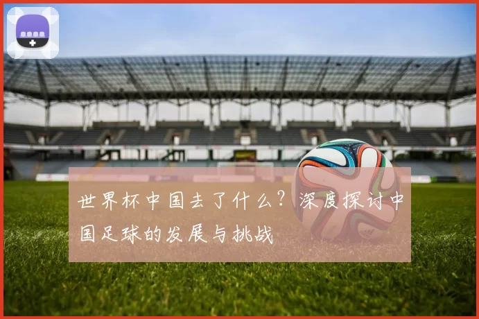 世界杯中国去了什么？深度探讨中国足球的发展与挑战
