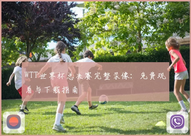 WTT世界杯总决赛完整录像:免费观看与下载指南
