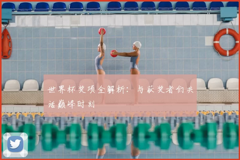 世界杯奖项全解析:与获奖者们共话巅峰时刻