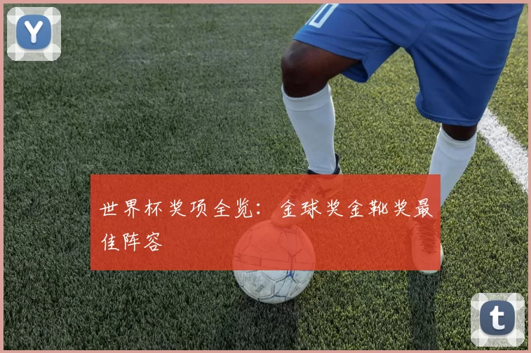 世界杯奖项全览:金球奖金靴奖最佳阵容