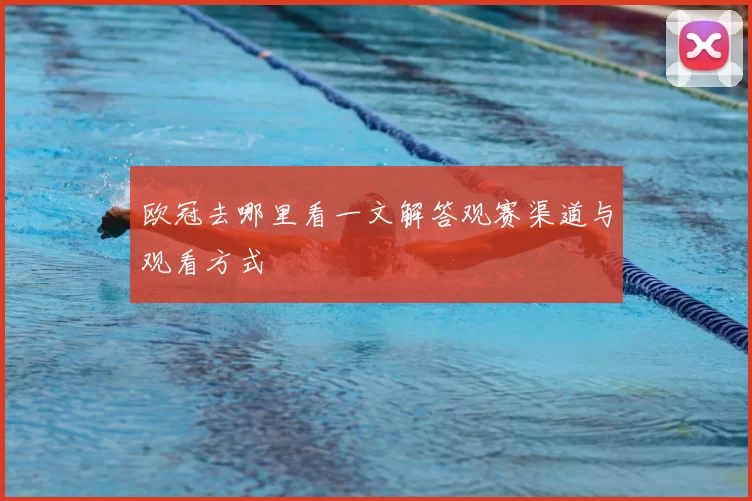欧冠去哪里看一文解答观赛渠道与观看方式