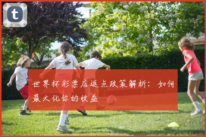 世界杯彩票店返点政策解析:如何最大化你的收益