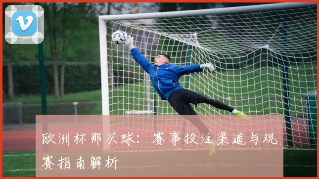 欧洲杯那买球：赛事投注渠道与观赛指南解析