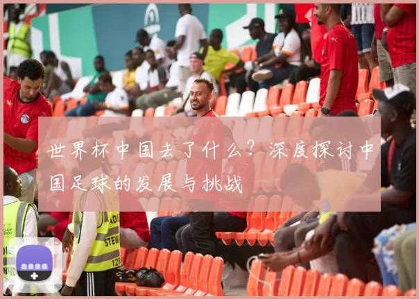 世界杯中国去了什么？深度探讨中国足球的发展与挑战