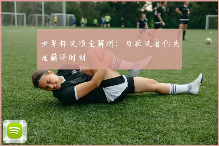 世界杯奖项全解析:与获奖者们共话巅峰时刻