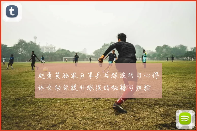赵秀英独家分享乒乓球技巧与心得体会助你提升球技的秘籍与经验